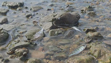 Liptov a Orava hlásia pokles výdatnosti zdrojov pitnej vody. Zisťovali sme, či sú ohrozené aj domácnosti