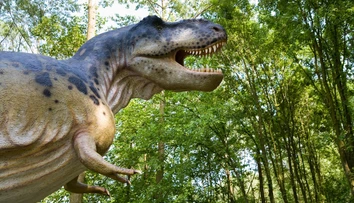 Vedci odhalili tajomstvo Tyrannosaura rexa. V jednej veci bol človeku podobnejší, než sme si mysleli