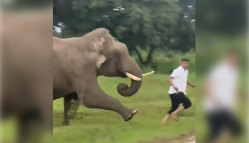 VIDEO: Slon v Indii podupal turistu, ktorý si s ním chcel urobiť selfie. Zviera rozzúril blesk fotoaparátu