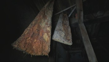 Viac ako tri desaťročia visí na povale. Rumunský kostol láka turistov na nezvyčajné dedičstvo