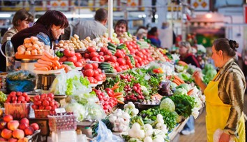 Príznaky alergie na peľ dokážeme zmierniť aj úpravou jedálnička. Pomôžu jablká, cesnak či zelený čaj