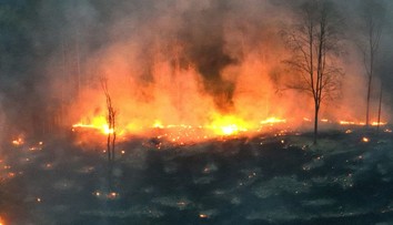 VIDEO: Rozsiahly lesný požiar na Kysuciach. Hasia ho už druhý deň