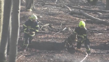 Bojovali s ním desiatky hodín. Hasičom sa podarilo zlikvidovať požiar nad Valaskou Belou