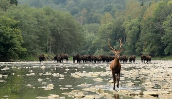 Zábery, ktoré uchvátili aj zahraničie. Slováci ani netušia, aké poklady tu máme