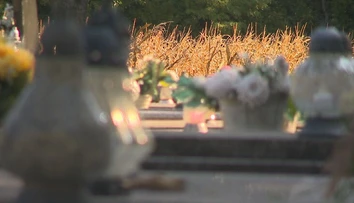 Hroby vedľa kukurice, po pozemku jazdia traktory. Na pietnom mieste sa rieši nezvyčajná situácia