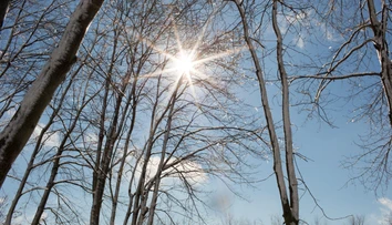 Koniec meteorologickej zimy. Lúčenie s ňou bolo slnečné a teplé