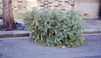 Dôchodkyni zlomil ruku padajúci vianočný stromček. Suseda zo šiesteho poschodia ju vraj nevidela