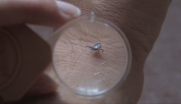 Kliešte útočia čoraz viac. Pomôže trik, ktorý testovala aj americká armáda