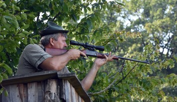 Kvôli africkému moru zastrelia všetky diviaky v najväčšej zvernici na východnom Slovensku