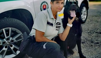 Tu sú príbehy najväčších psích hrdinov zo Slovenska: Zahynuli pri záchrane ľudí