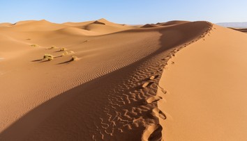 Sahara bola kedysi plná zelene. Vedci pravdepodobne zistili, prečo sa zmenila na púšť