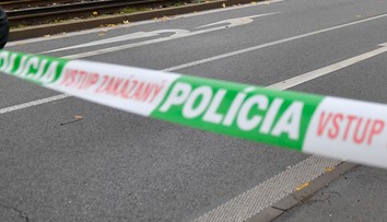 Vlastnej sestre sa vyhrážal smrťou a hodil po nej mikrovlnku, polícia muža (44) z Nemšovej obvinila