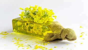 Legendárne oleje a tuky na varenie by sa mohli opäť vyrábať na Slovensku