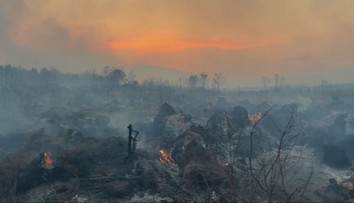 Obľúbené dovolenkové destinácie zachvátili požiare. Z Chorvátska hlásia 36 zranených