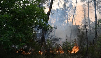 Apokalypsa v obľúbených dovolenkových destináciách. Státisíce ľudí utekajú z domovov, evakuovali aj Slovákov
