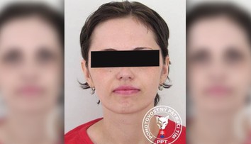 Jej deti si mali nacvičovať odrezávanie hlavy. Aj takéto dôkazy má mať polícia voči Slovenke obvinenej z terorizmu