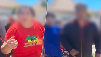 VIDEO: Lietali urážky aj pľuvance. Pri veterinárnej kontrole v Komárne musela zasiahnuť polícia