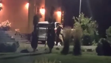 VIDEO: Medveď v blízkosti rodinných domov. Obec vyzýva k opatrnosti