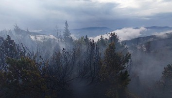 FOTO: V srdci Veľkej Fatry vypukol požiar. Národný park vyzýva turistov, aby sa oblasti vyhli