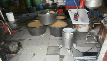FOTO: Myší trus a pleseň. Inšpektori odhalili nelegálnu výrobňu tofu