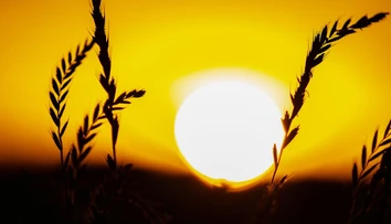 Európa sa otepľuje rýchlejšie než zvyšok sveta. Teploty dosahujú nebezpečne vysoké hodnoty