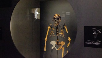 FOTO: V Prahe vystavili najslávnejšie fosílie sveta. „Prateta ľudstva“ je v Európe prvýkrát