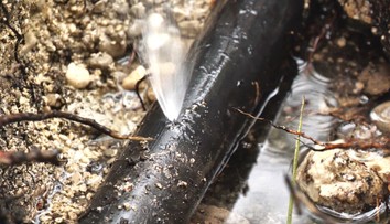 Spôsobil im nemalé problémy s vodou. V obci Hlboké nad Váhom niekto zámerne poškodil vodovodné potrubie