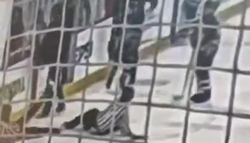 VIDEO: Šokujúci incident v zámorí. Rozzúrený rodič napadol priamo na ľade dvojicu rozhodcov