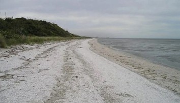 Rodičia si už nevedeli dať rady s neposlušnou dcérou. Rozhodli sa ju potrestať netradičným spôsobom