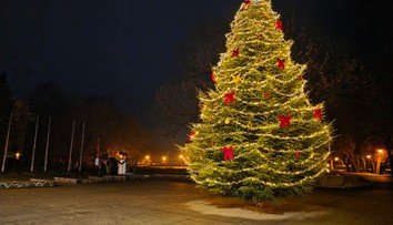 V hlasovaní mu iba tesne ušlo prvenstvo. S vianočným stromčekom z Humenného sa spája dojemný príbeh