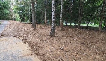 Iniciatíva detí a učiteľov narobila poriadne škody. Neodborne vysadené stromy poškodzujú okolie