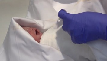 Vojtěch sa stal otcom aj matkou na plný úväzok. Eliške, ktorú porodila matka v kóme, sa darí dobre