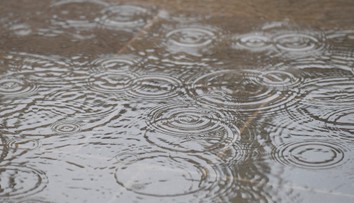 Poľadovica, dážď, hmla aj silný vietor. Meteorológovia vydali viaceré výstrahy