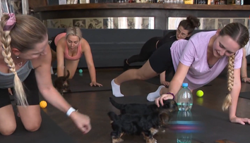 Skvelá forma terapie. Joga so štvornohými miláčikmi je čoraz populárnejšia