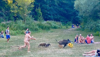 Diviaka, ktorý ukradol nudistovi laptop, chcú zabiť. Berlínčania podpisujú petíciu