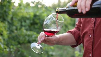 Ktorý druh alkoholu spôsobuje viac tuku na bruchu – víno, pivo alebo liehoviny?