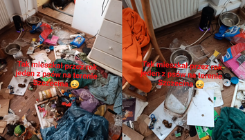 VIDEO: Pes žil rok sám v byte. Pohľad do vnútra je len pre silné povahy