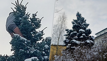 Muž vyliezol v trenkách na strom a odmietal zliezť. Strávil tam celú noc