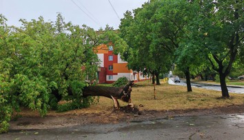 Juhom stredného Slovenska sa prehnala búrka. Stromy popadali aj na elektrické vedenie