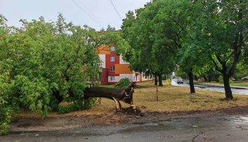 Juhom stredného Slovenska sa prehnala búrka. Stromy popadali aj na elektrické vedenie