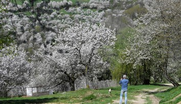 Všetci tam chcú fotku. Slovenskú obec so 60 obyvateľmi navštevujú tisíce turistov