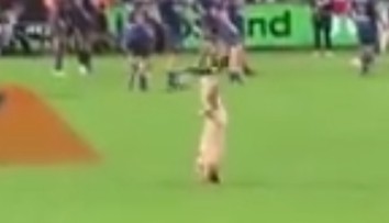 VIDEO: Rugbyový zápas prerušil naháč. Toho spacifikoval bleskurýchly Superman