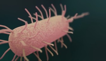 Návrat nebezpečnej infekčnej choroby: U niektorých ľudí sa príznaky cholery neobjavia, riziko úmrtnosti je vtedy vysoké