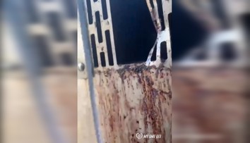 My sme les zverejnil znepokojivé video odchytového zariadenia pre medvede, všade bola krv