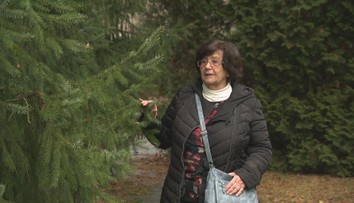 Dôchodok, menopauza aj psychika: Seniorky hovoria o období plnom zmien aj neistoty