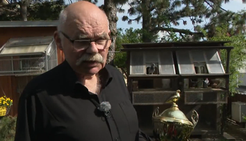 Tvrdí, že chovateľstvo je vysoko návykové a skvelá psychohygiena. Peter Vačok sa chovu holubov venuje celý život