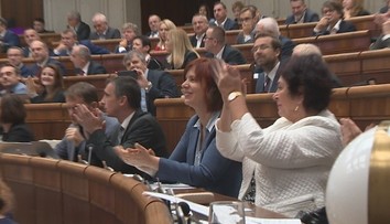 Opozícia hovorí o zázraku: Presadili zmeny pre ľudí s autizmom či Aspergerovovým syndrómom