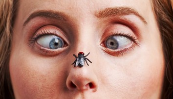 Jednoduchý trik, ako vybabrať s dotieravými muchami. Vhodným umiestneným týchto rastlín sa ich zbavíte raz-dva