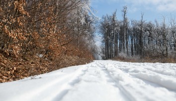 Vyhliadka do Vianoc nepoteší: Počasie sa drží na rovnakej vlne