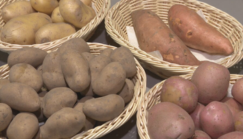 Zemiaky teraz stoja pár centov. Kuchár radí, ktoré sú najlepšie a ako ich skladovať aj celé mesiace